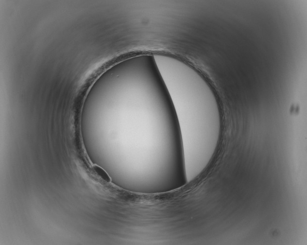 X0000111020684200906191231