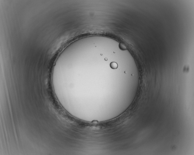X0000111020687200906191231