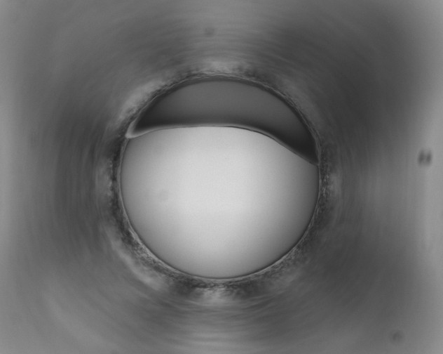 X0000111020688200906191231