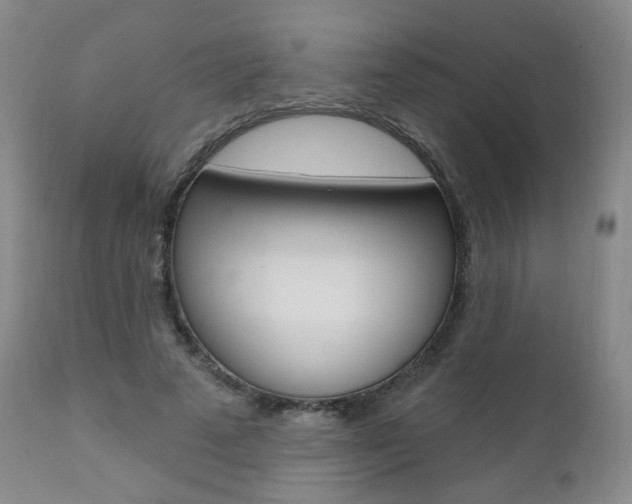 X0000111020689200906191231
