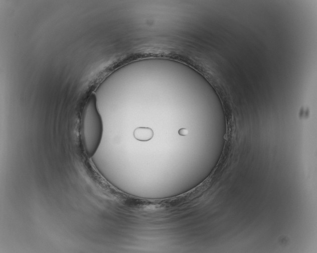X0000111020692200906191231