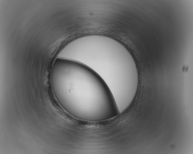 X0000111020693200906191231
