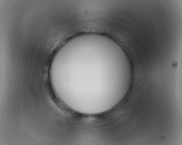 X0000111020695200906191231