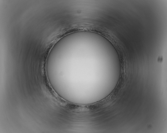 X0000111020696200906191231