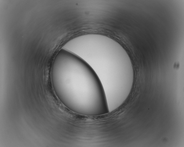 X0000111020697200906191231