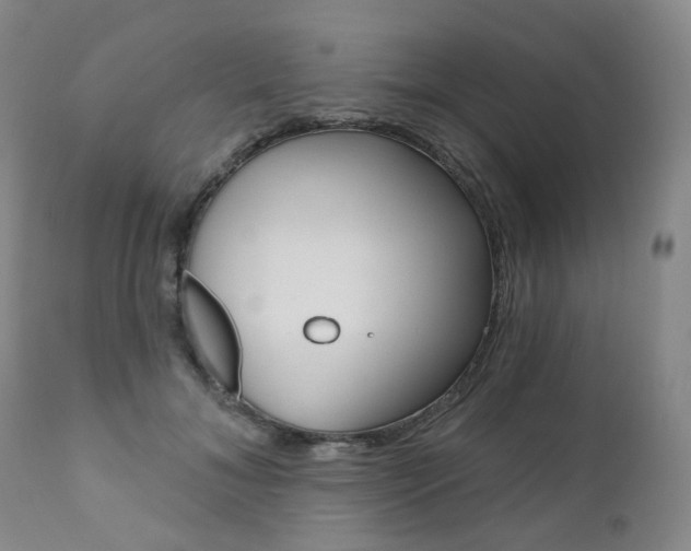 X0000111020700200906191231