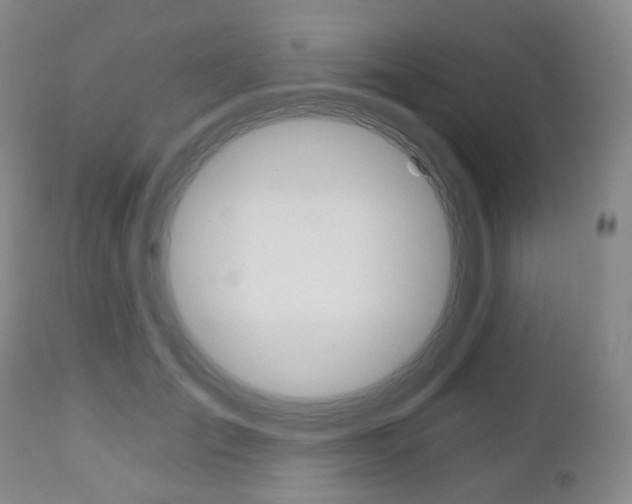 X0000111020701200906191231