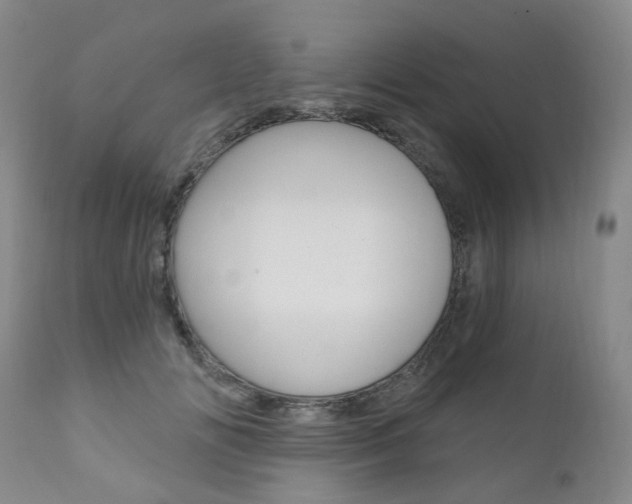 X0000111020702200906191231