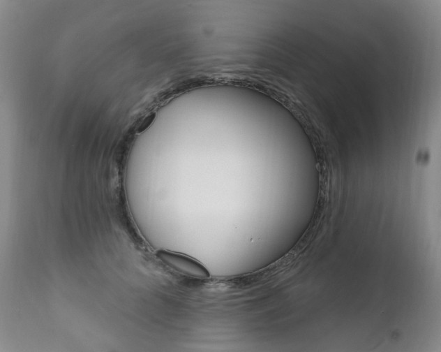 X0000111020704200906191231