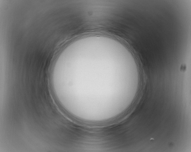 X0000111020705200906191231