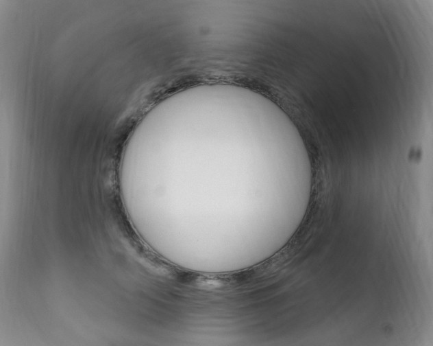 X0000111020706200906191231