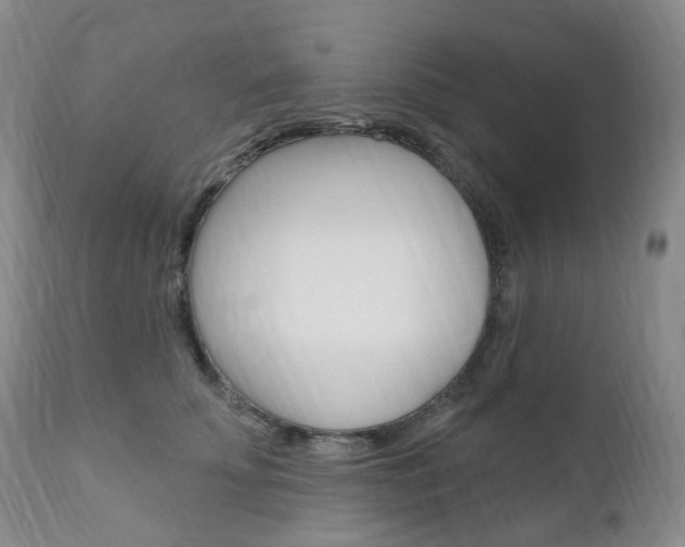 X0000111020707200906191231