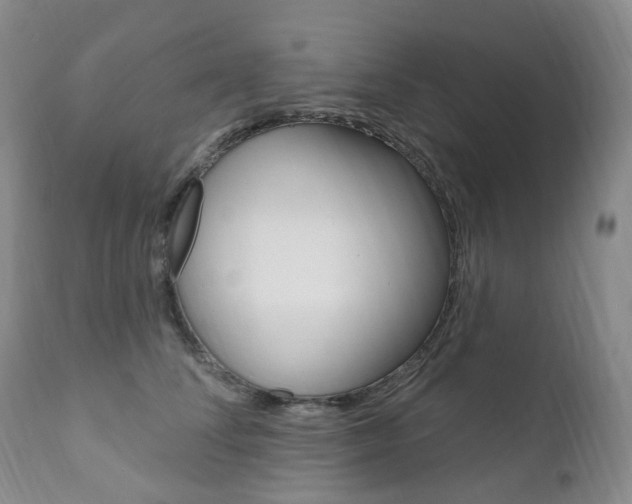 X0000111020708200906191231