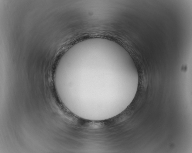 X0000111020711200906191230
