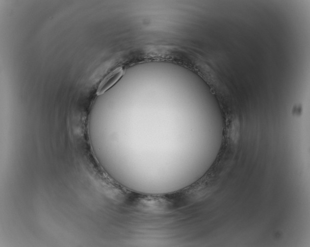 X0000111020712200906191230
