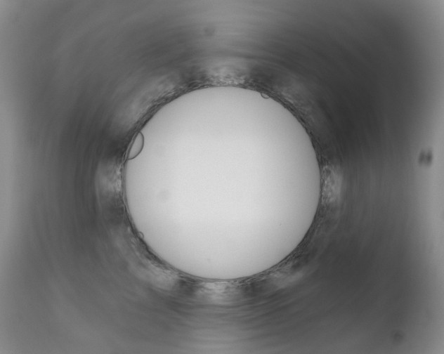 X0000111020713200906191230