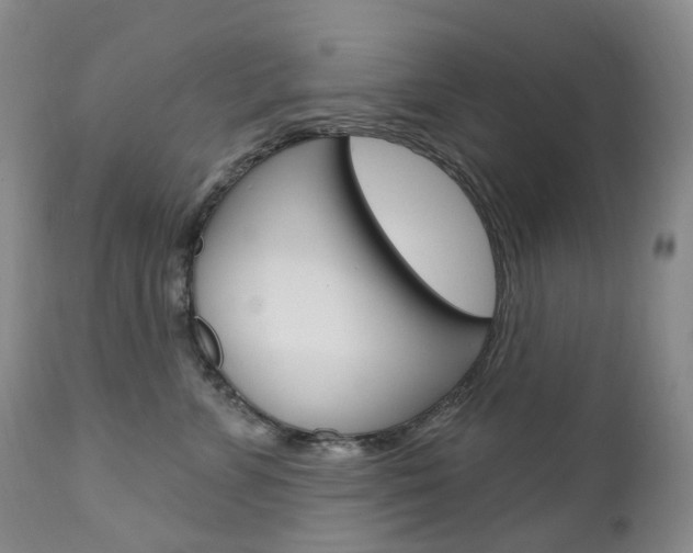 X0000111020715200906191230