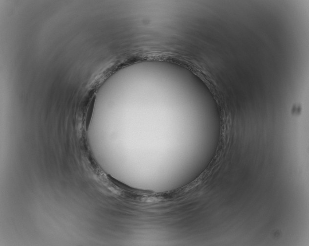 X0000111020716200906191230