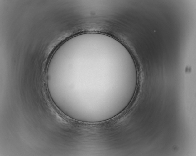 X0000111020721200906191229