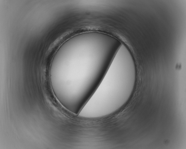 X0000111020722200906191230