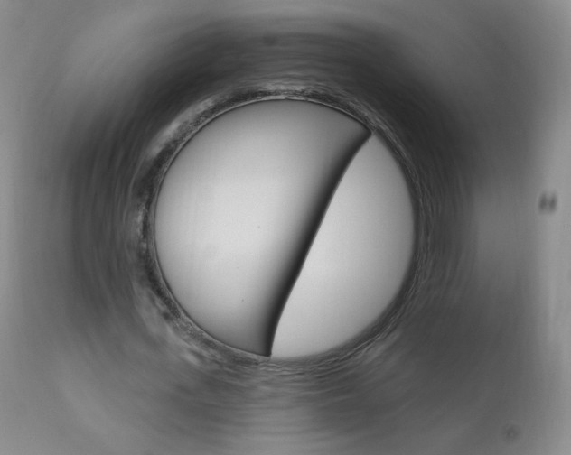 X0000111020723200906191230