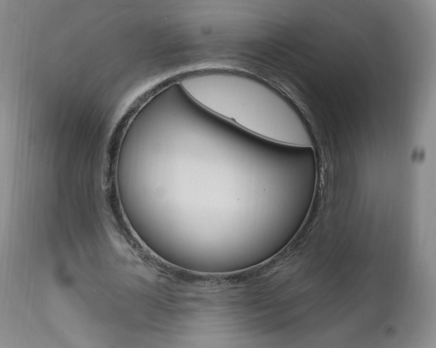 X0000111020724200906191230