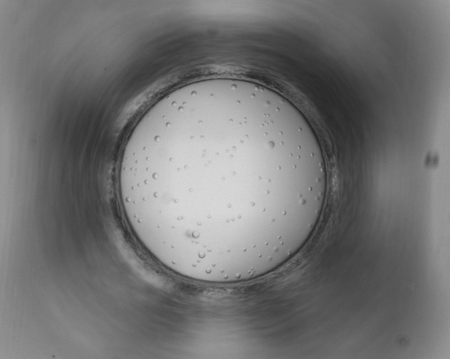 X0000111020725200906191230