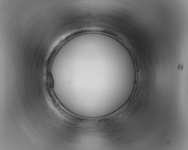 X0000111020726200906191230