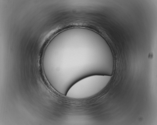 X0000111020727200906191230