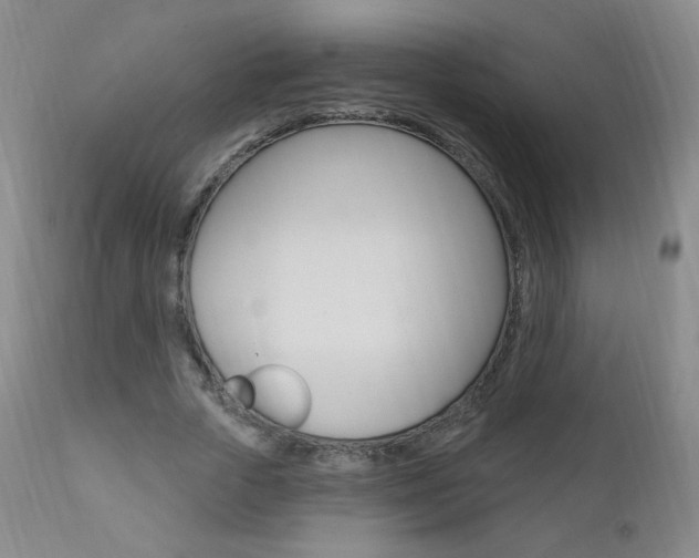 X0000111020729200906191230