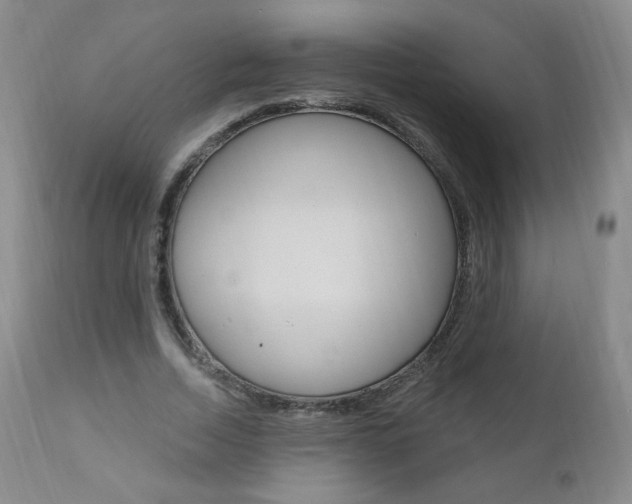 X0000111020730200906191230