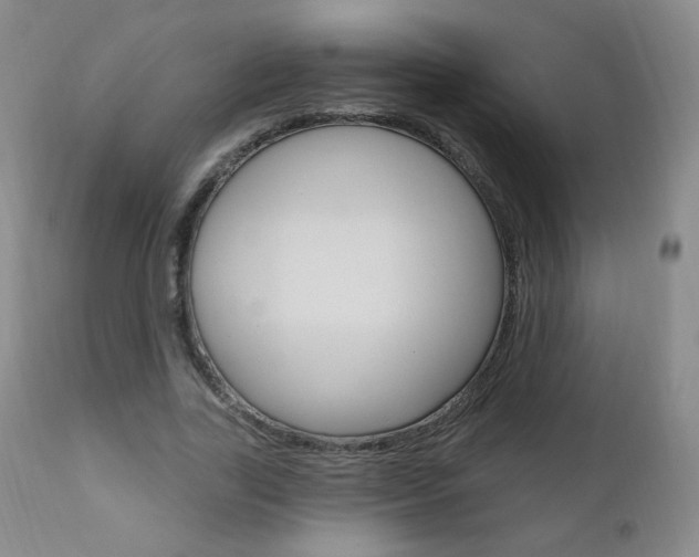 X0000111020731200906191230