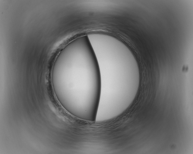 X0000111020732200906191230