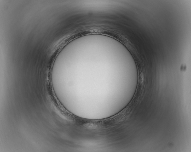 X0000111020733200906191230