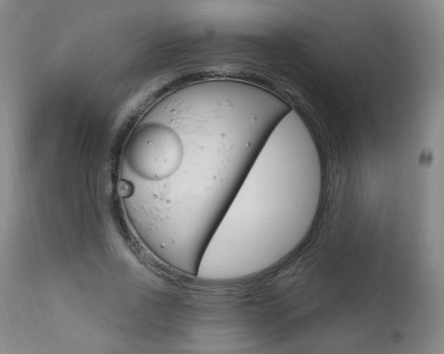X0000111020734200906191230