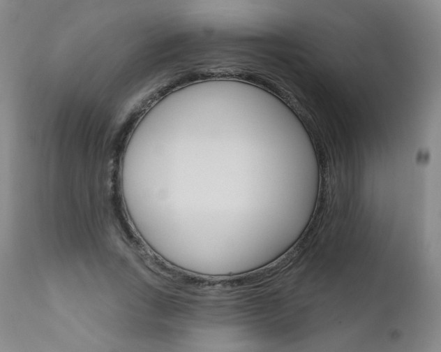 X0000111020735200906191230