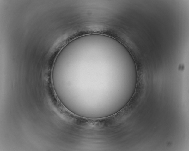 X0000111020736200906191230