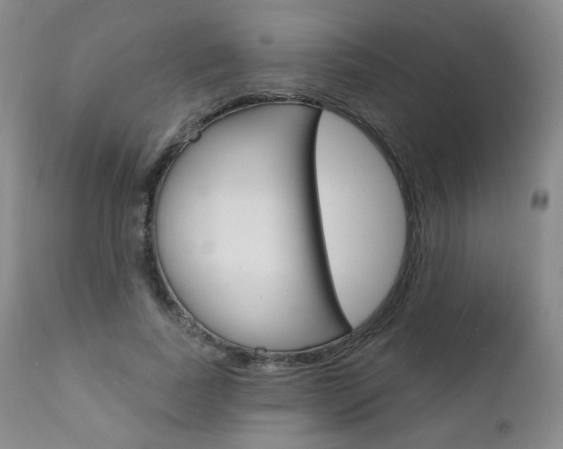 X0000111020739200906191230