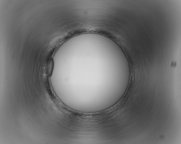 X0000111020740200906191230