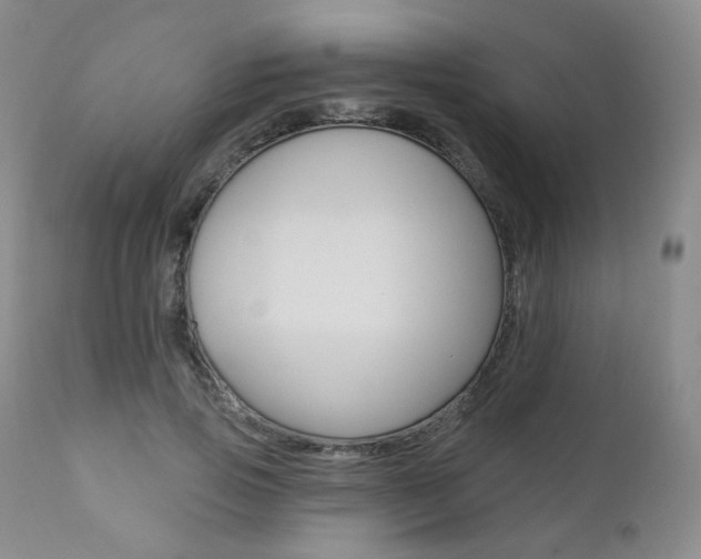 X0000111020741200906191230