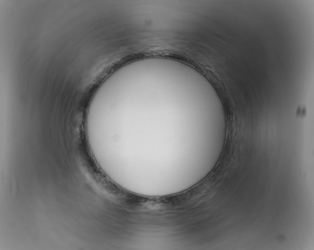 X0000111020742200906191230