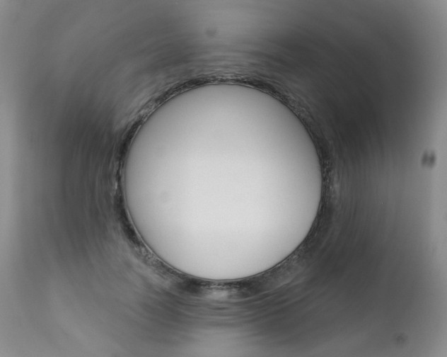 X0000111020746200906191230