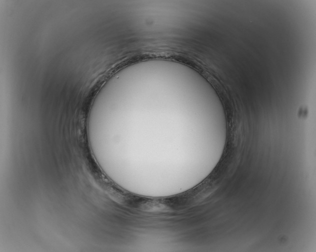 X0000111020747200906191230