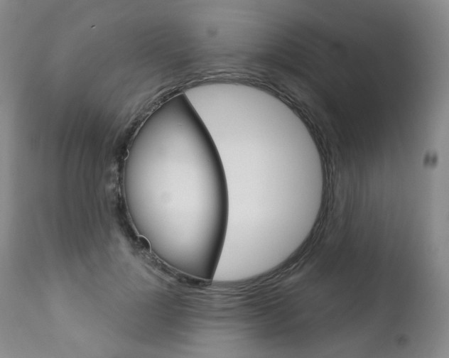 X0000111020748200906191230