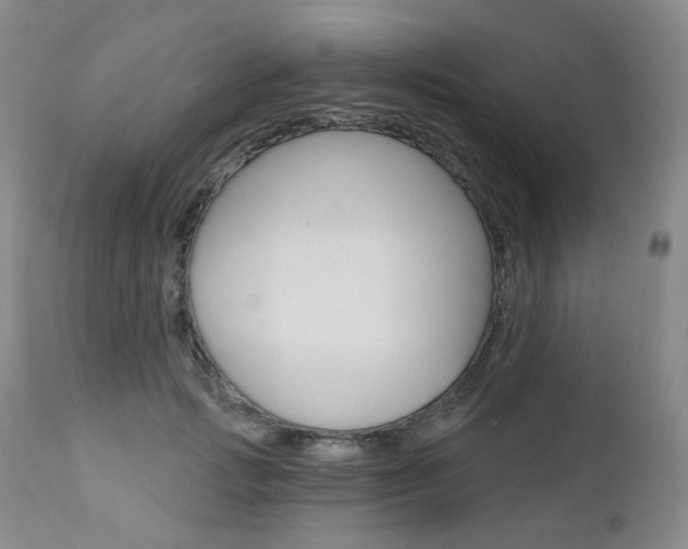 X0000111020749200906191230