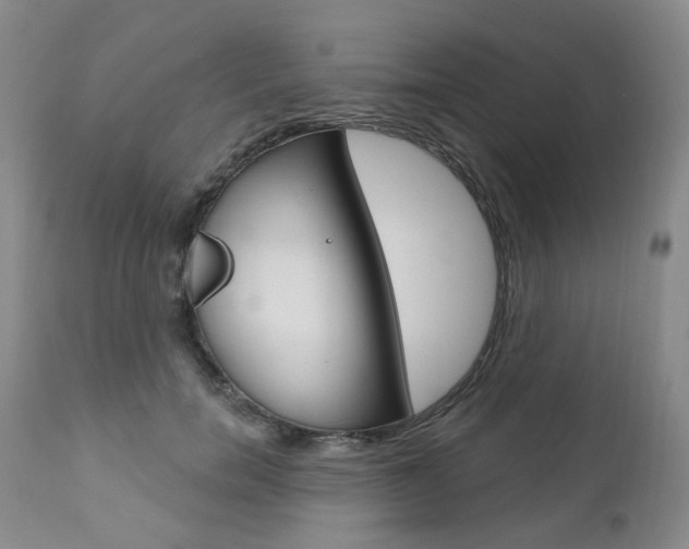 X0000111020750200906191230