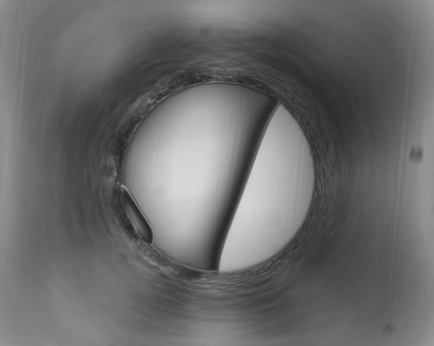 X0000111020752200906191230