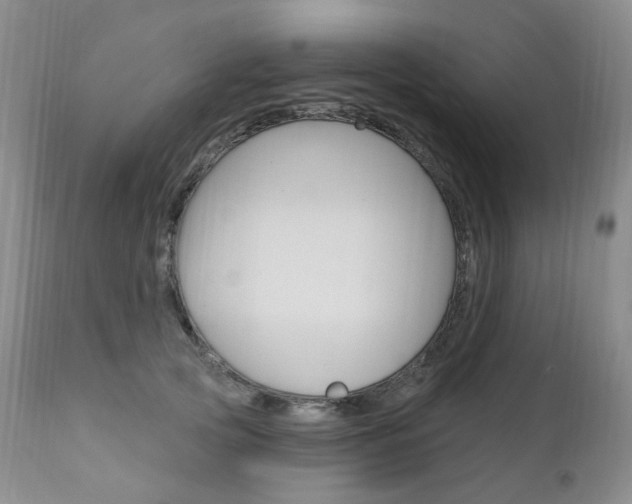 X0000111020753200906191230