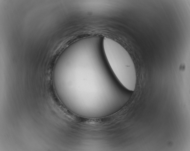 X0000111020756200906191230