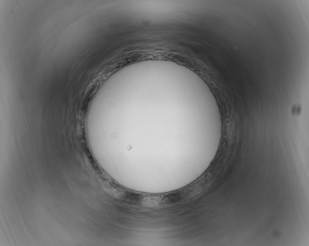 X0000111020757200906191230